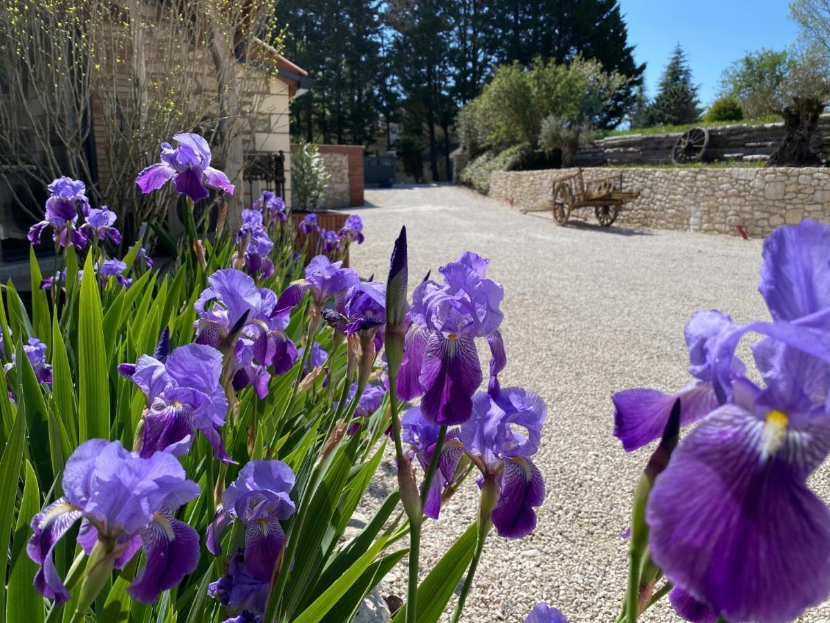 Le Relais De Campagne Bed & Breakfast Trejouls Eksteriør bilde